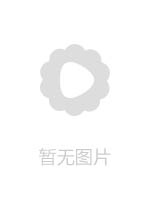 ZEX394あべみかこデビュー8周年記念8時間ベスト プレミアムVOL3